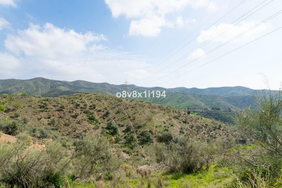 Property main view 19