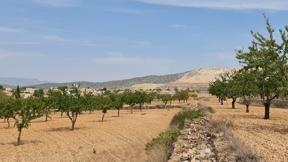 Property main view 2