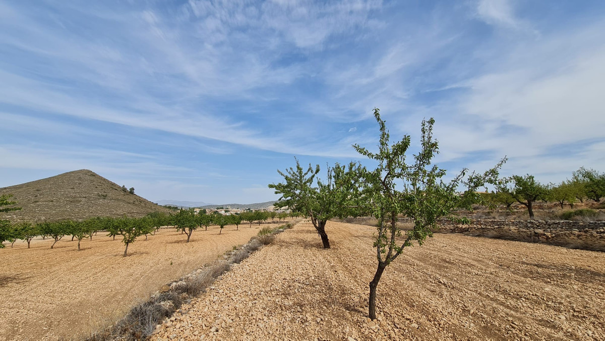 Property main view 8