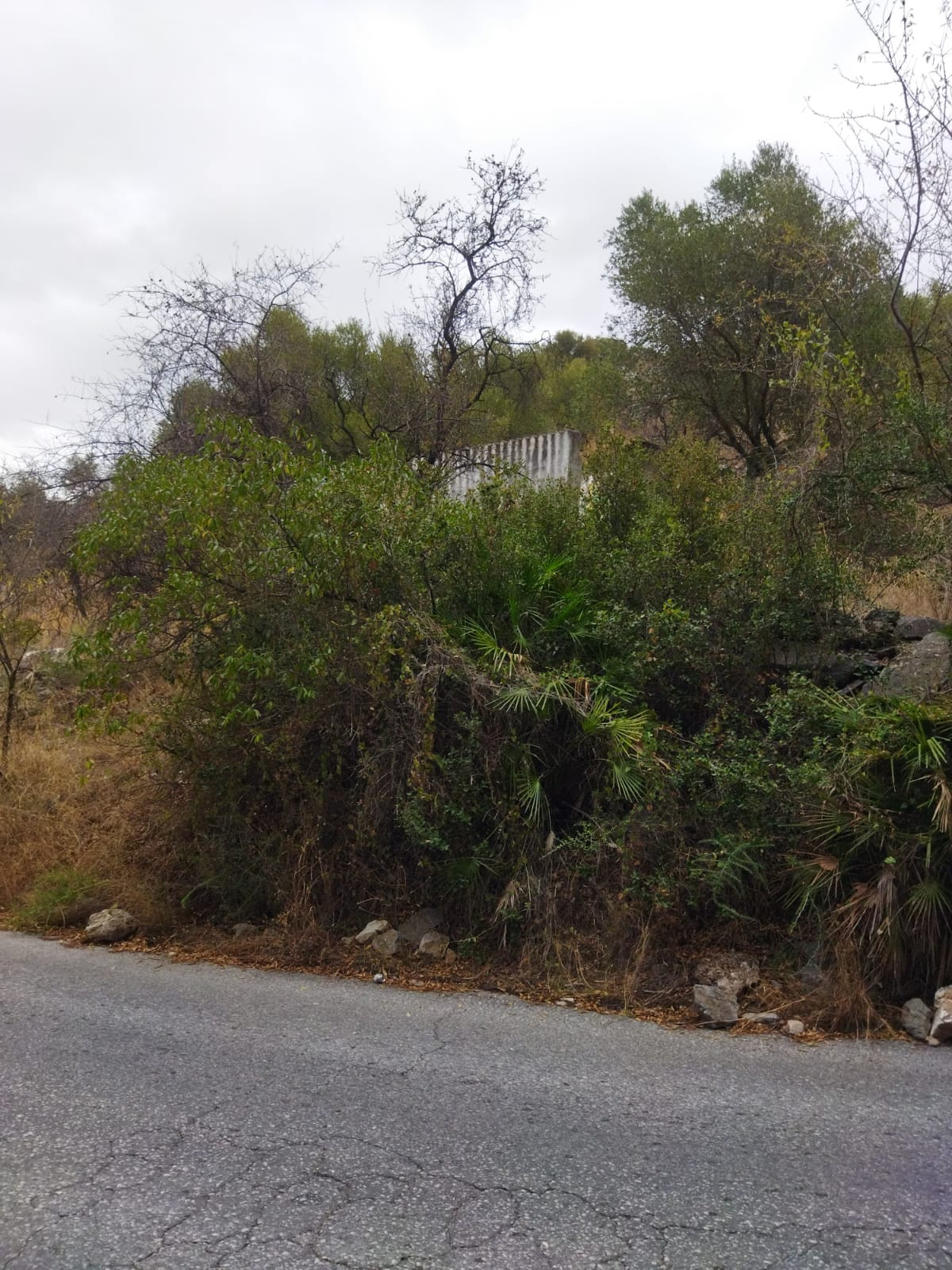 Property main view 1