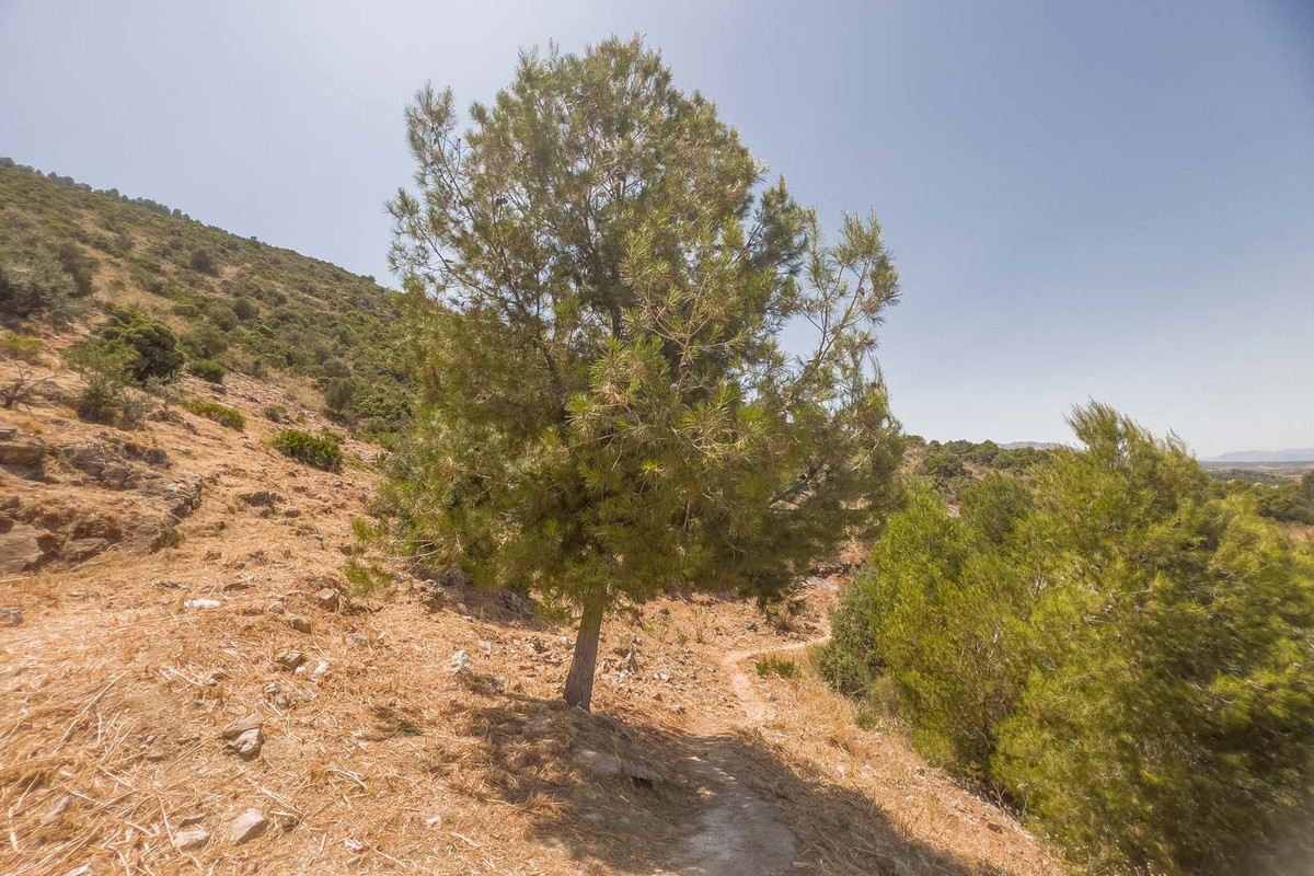 Plot for sale in Alhaurín de la Torre | 0 bedrooms H5108338