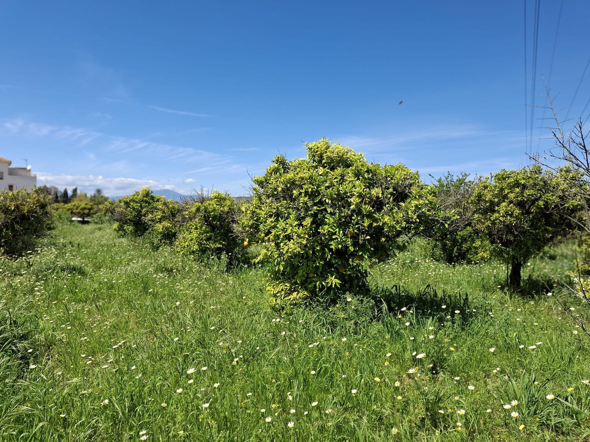 Percelen te koop in Alhaurín de la Torre | 0 slaapkamers H5255674