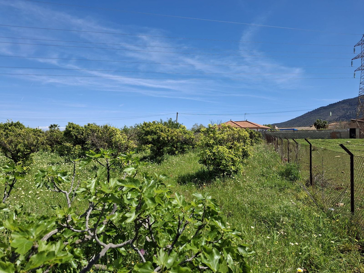 Percelen te koop in Alhaurín de la Torre | 0 slaapkamers H5255674