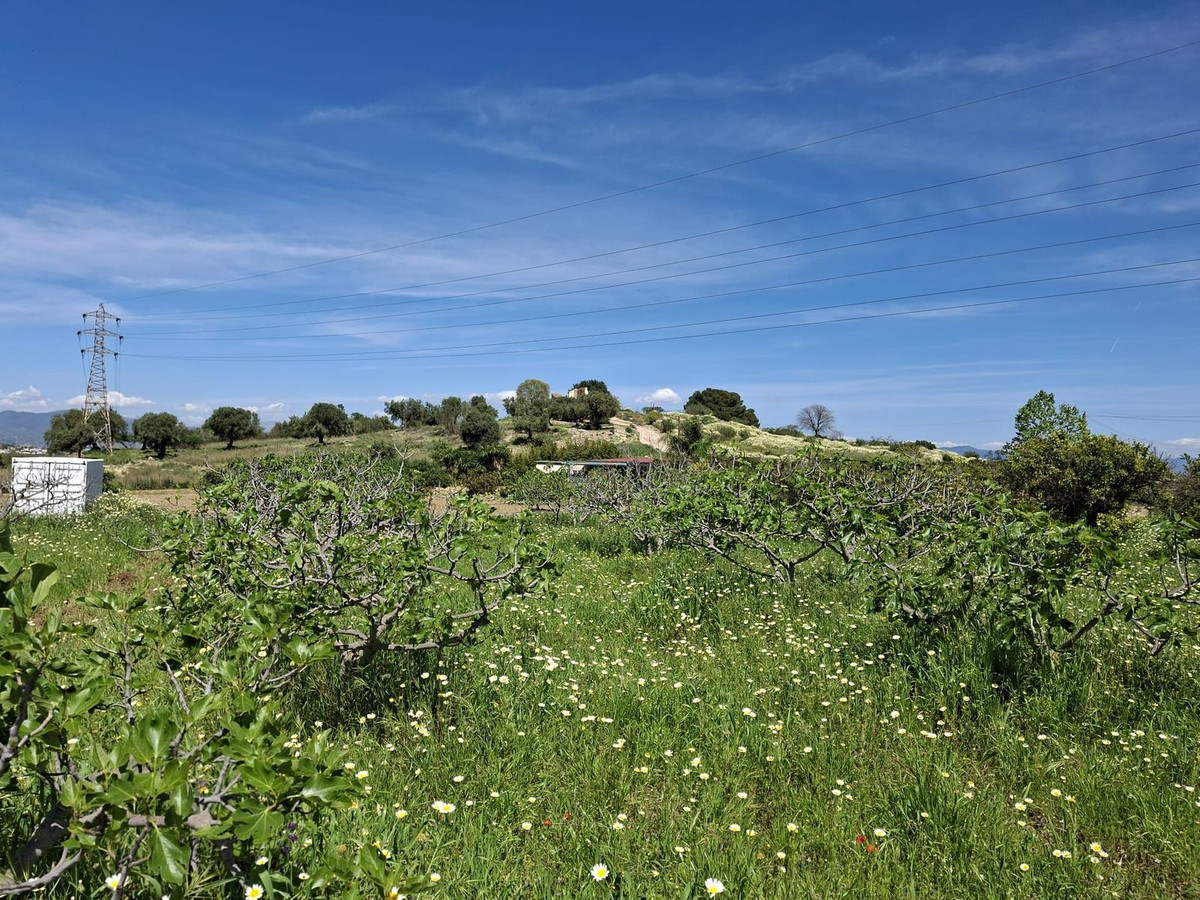 Percelen te koop in Alhaurín de la Torre | 0 slaapkamers H5255674