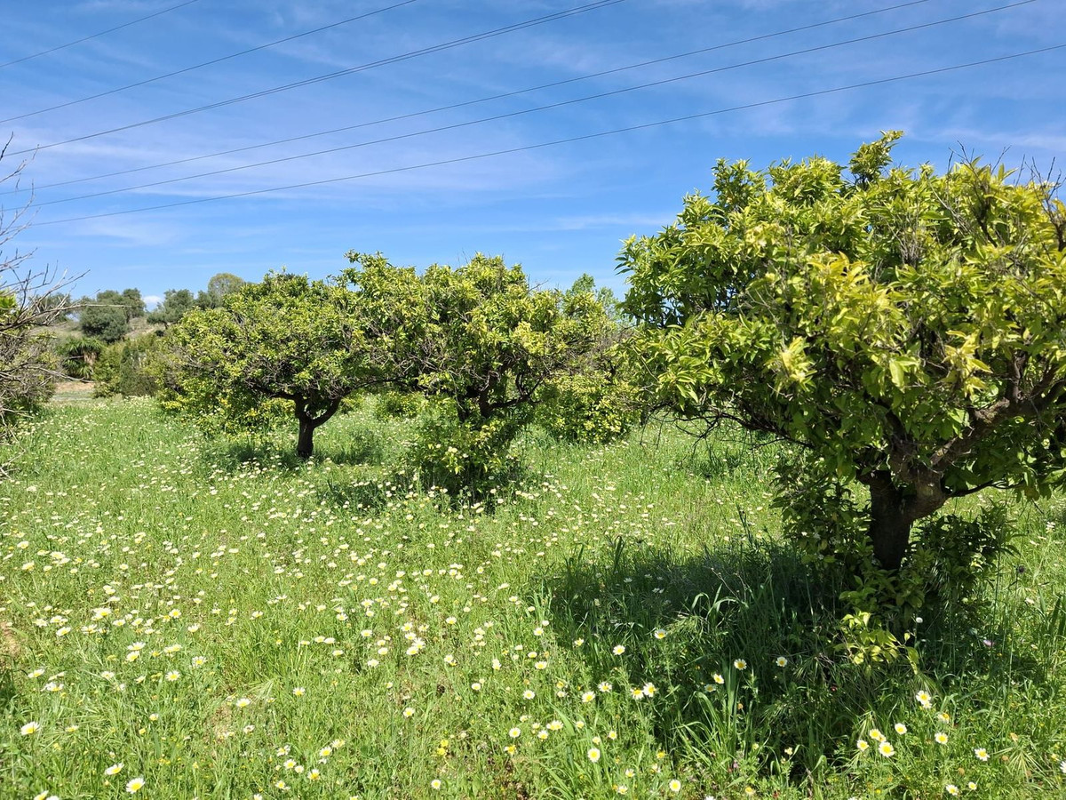 Percelen te koop in Alhaurín de la Torre | 0 slaapkamers H5255674