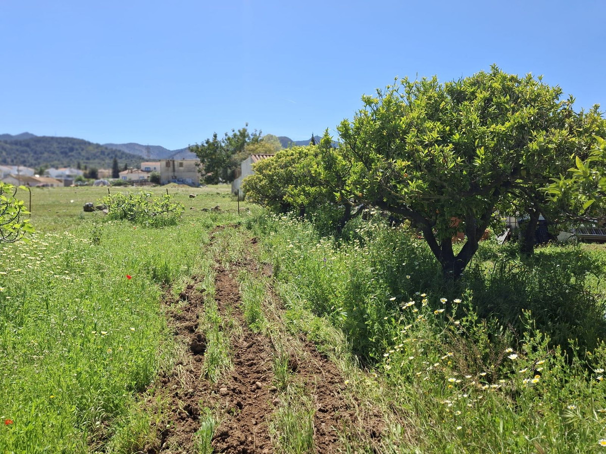 Percelen te koop in Alhaurín de la Torre | 0 slaapkamers H5255674