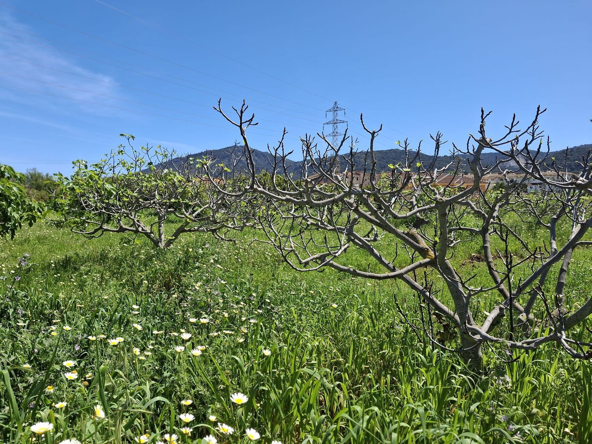 Percelen te koop in Alhaurín de la Torre | 0 slaapkamers H5255674