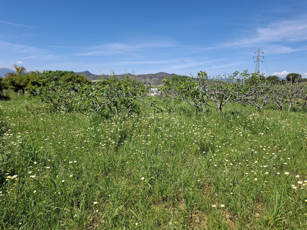 Percelen te koop in Alhaurín de la Torre | 0 slaapkamers H5255674