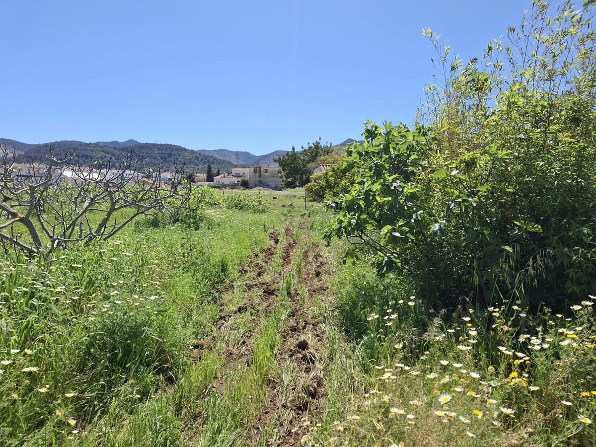 Percelen te koop in Alhaurín de la Torre | 0 slaapkamers H5255674