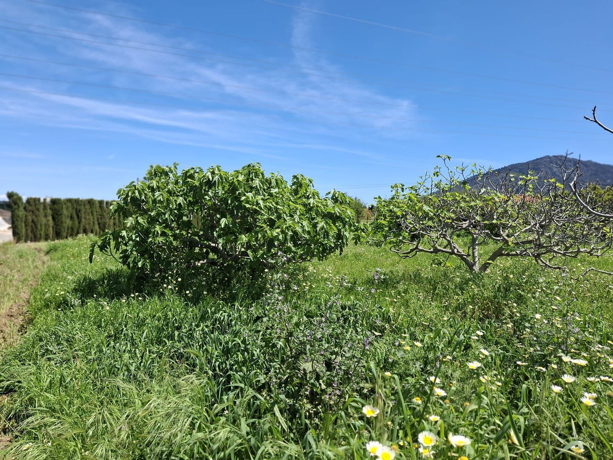 Percelen te koop in Alhaurín de la Torre | 0 slaapkamers H5255674