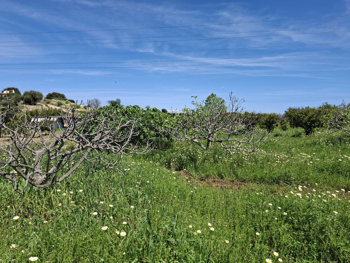 Percelen te koop in Alhaurín de la Torre | 0 slaapkamers H5255674