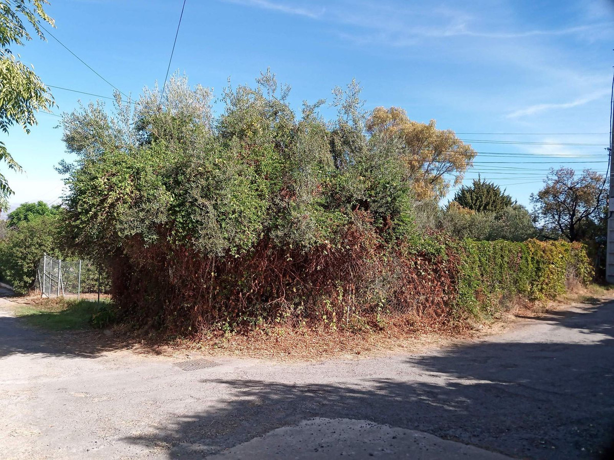 Property main view 4