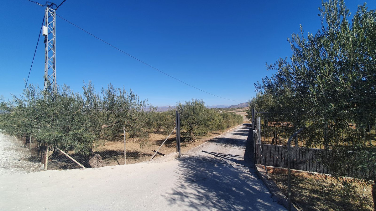 Property main view 2