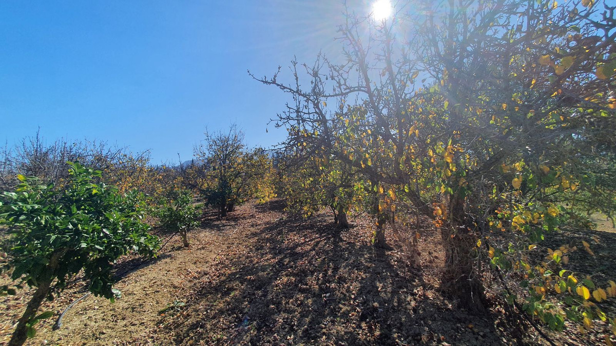 Property main view 7