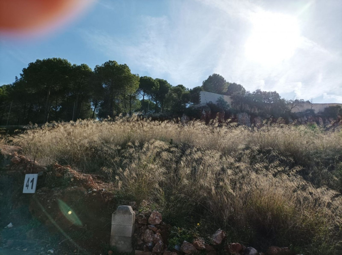 Percelen te koop in Alhaurín el Grande | 0 slaapkamers H5065525