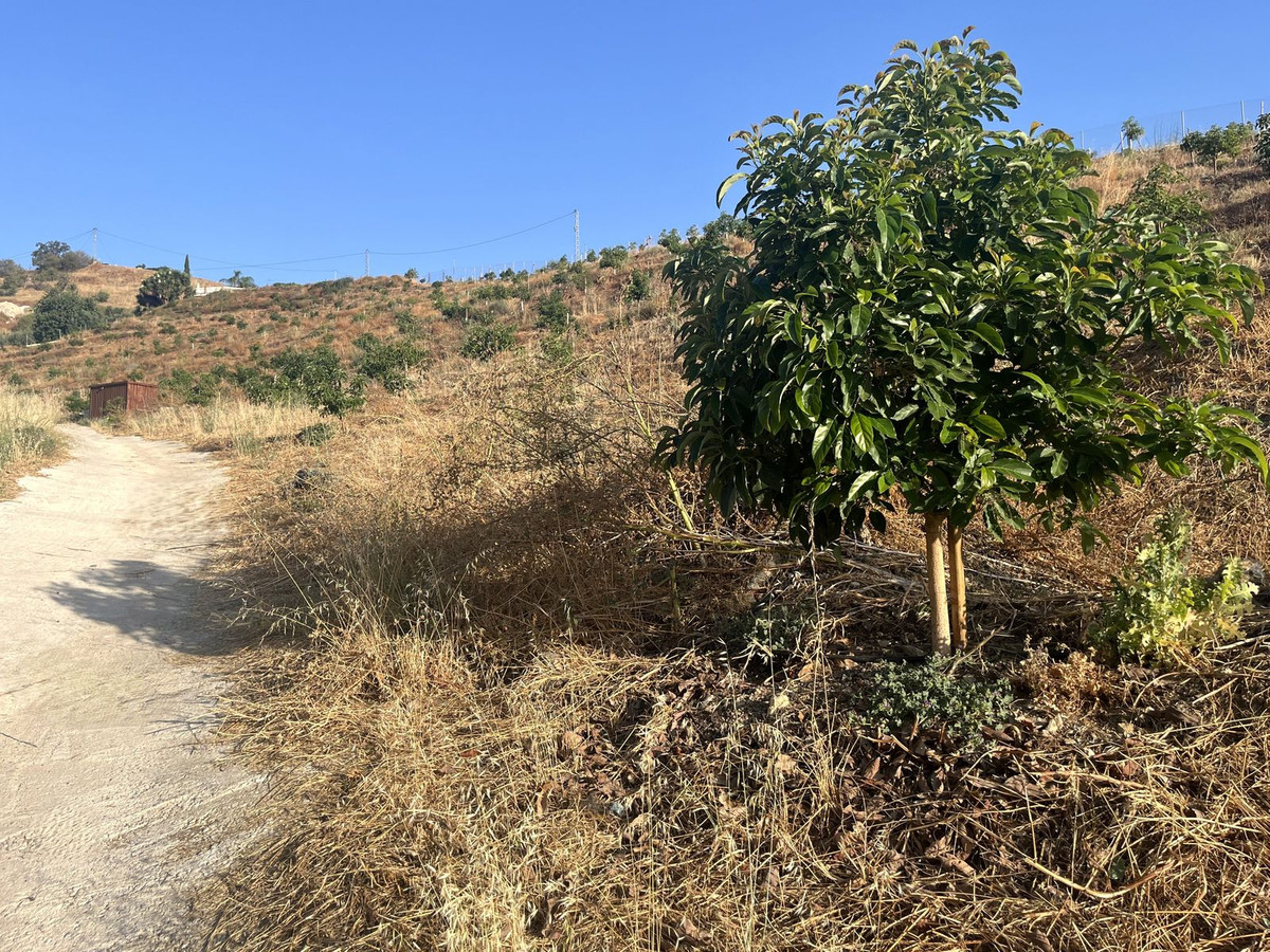 Grond te koop in Alhaurín el Grande | 0 slaapkamers H5104012