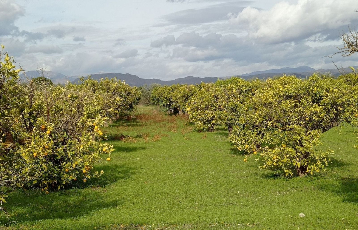 Grond te koop in Alhaurín el Grande | 0 slaapkamers H5107987