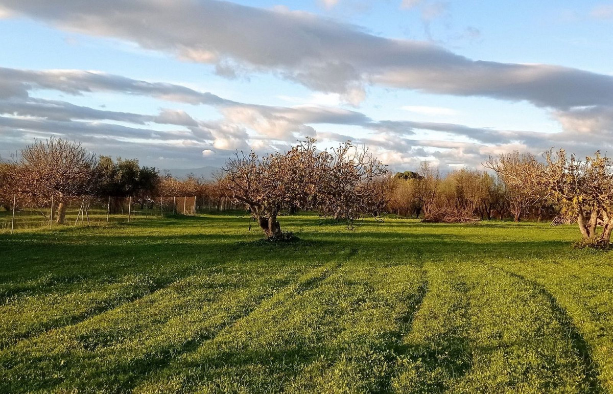 Grond te koop in Alhaurín el Grande | 0 slaapkamers H5107987