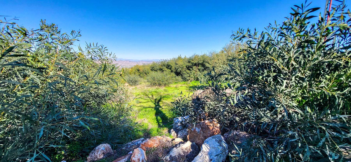 Grond te koop in Alhaurín el Grande | 0 slaapkamers H5289652