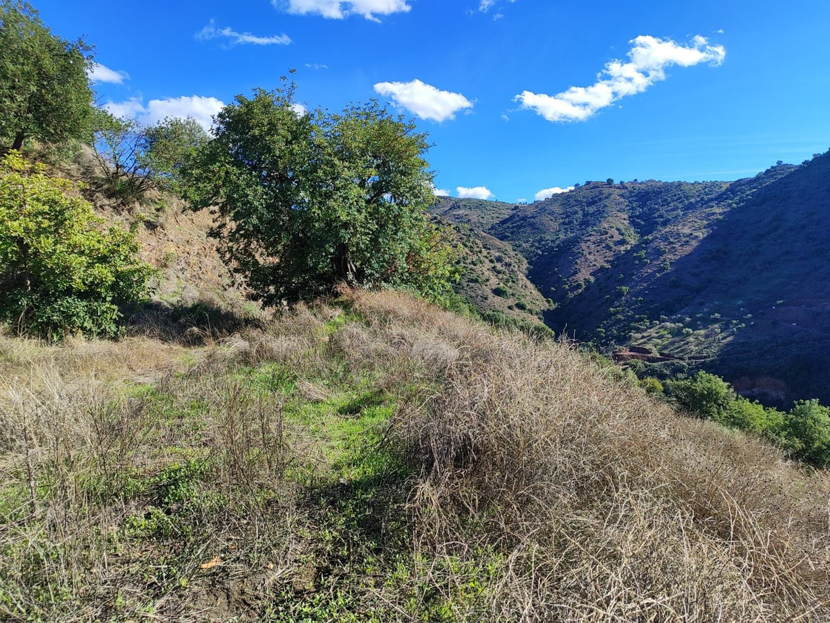 Grond te koop in Almogía | 0 slaapkamers H5232169