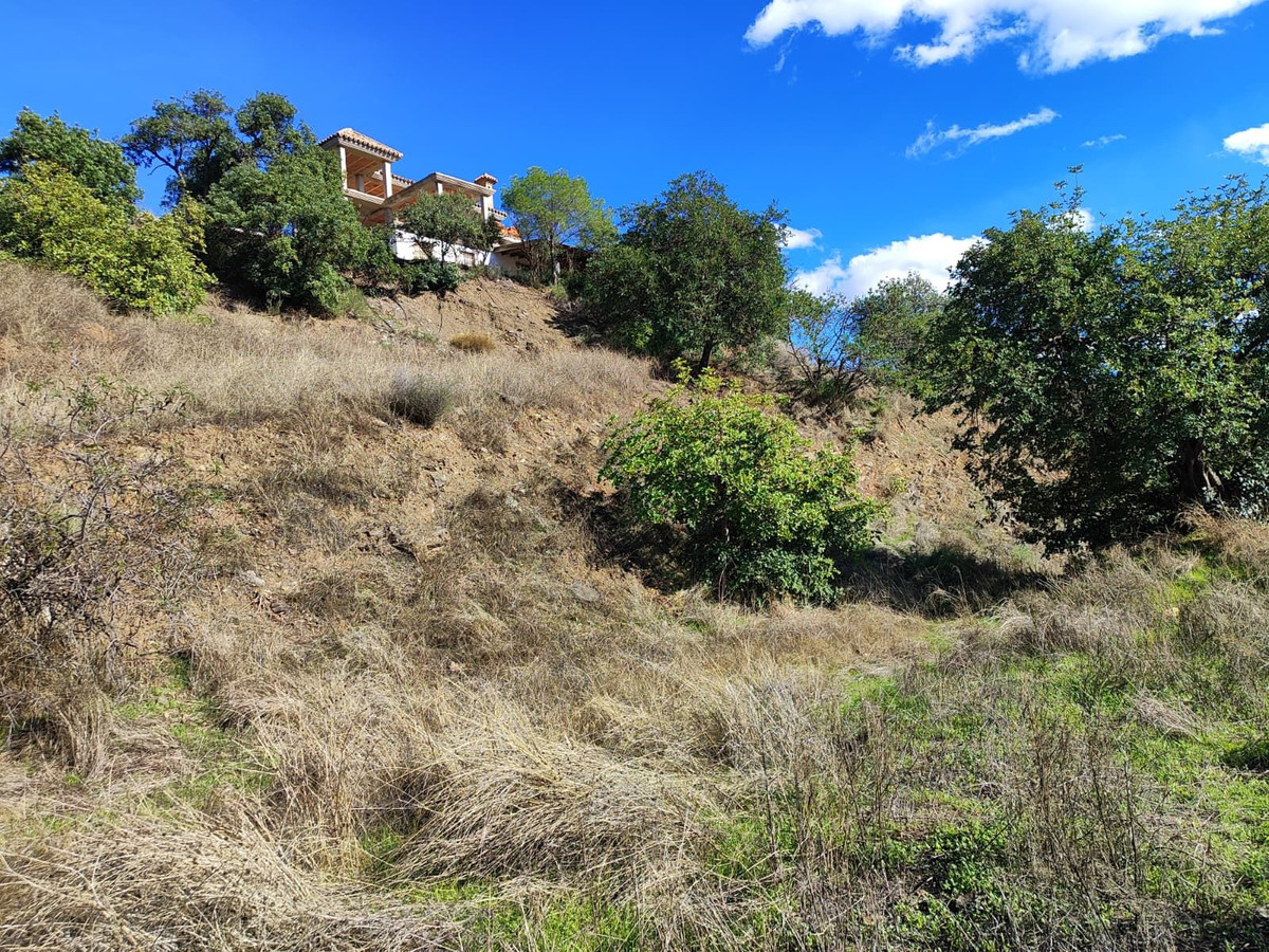 Grond te koop in Almogía | 0 slaapkamers H5232169