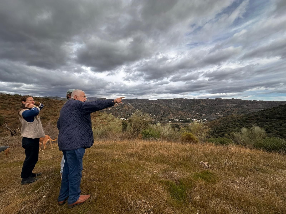 Percelen te koop in Almogía | 0 slaapkamers H5233609