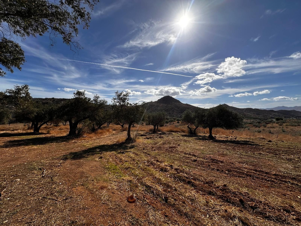 Percelen te koop in Almogía | 0 slaapkamers H5233609