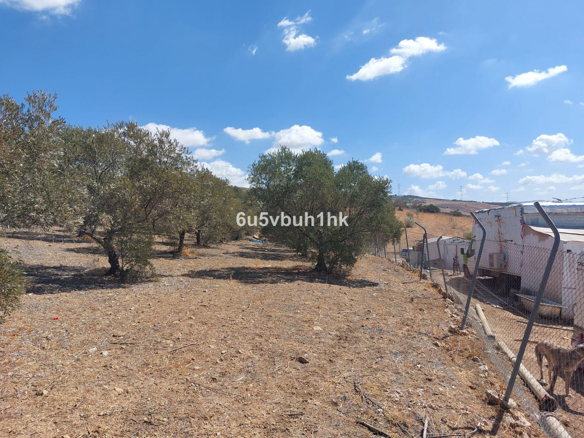 Grond in Alora-18