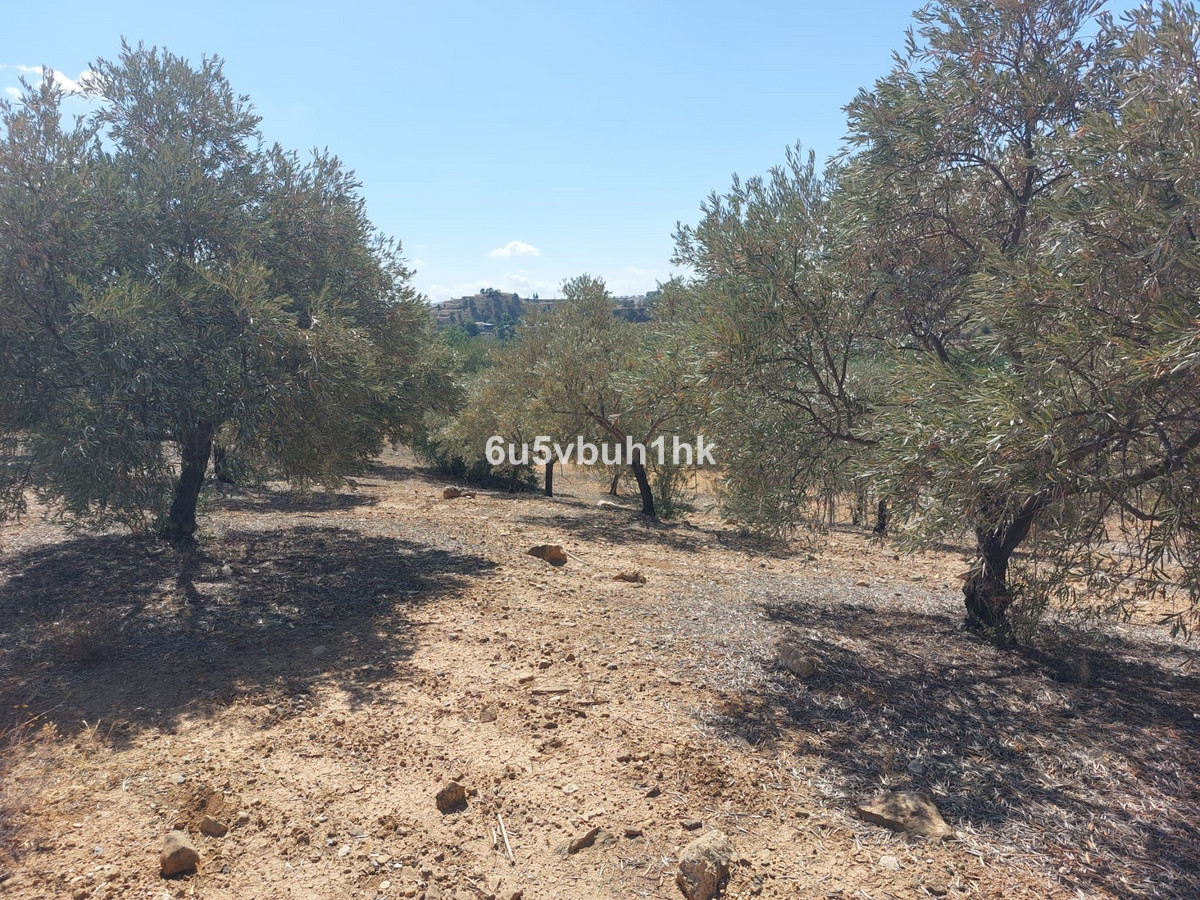 Grond in Alora-5