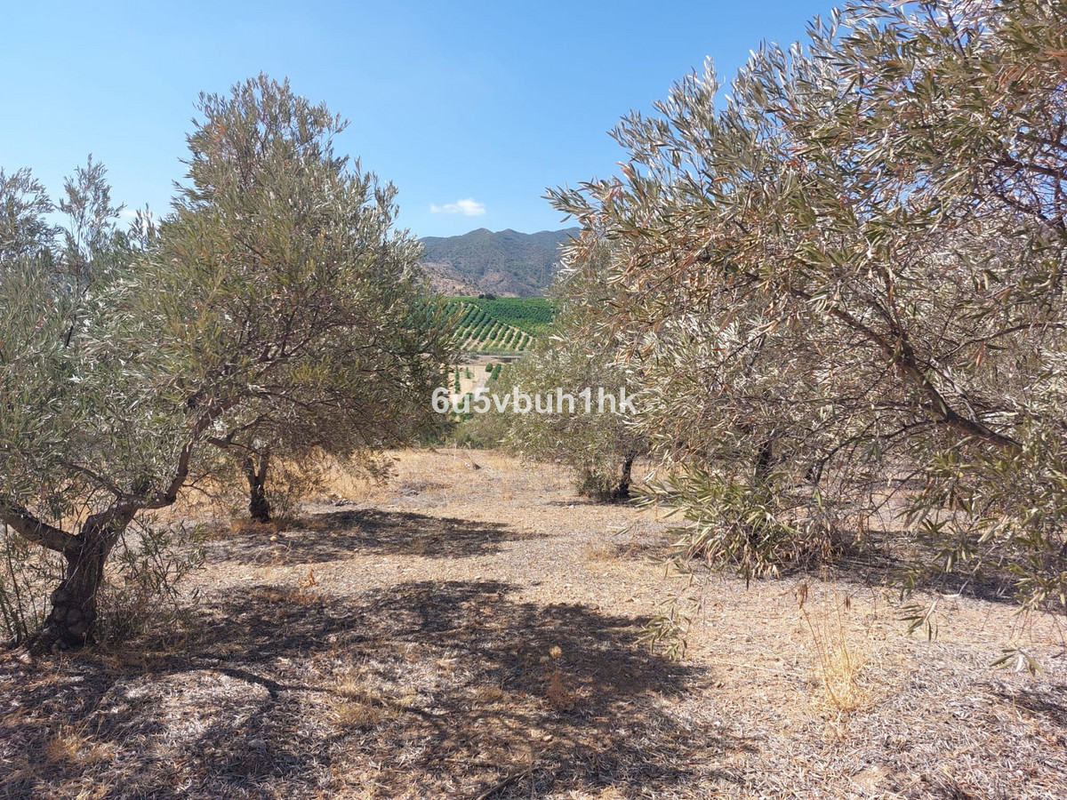 Grond in Alora-9