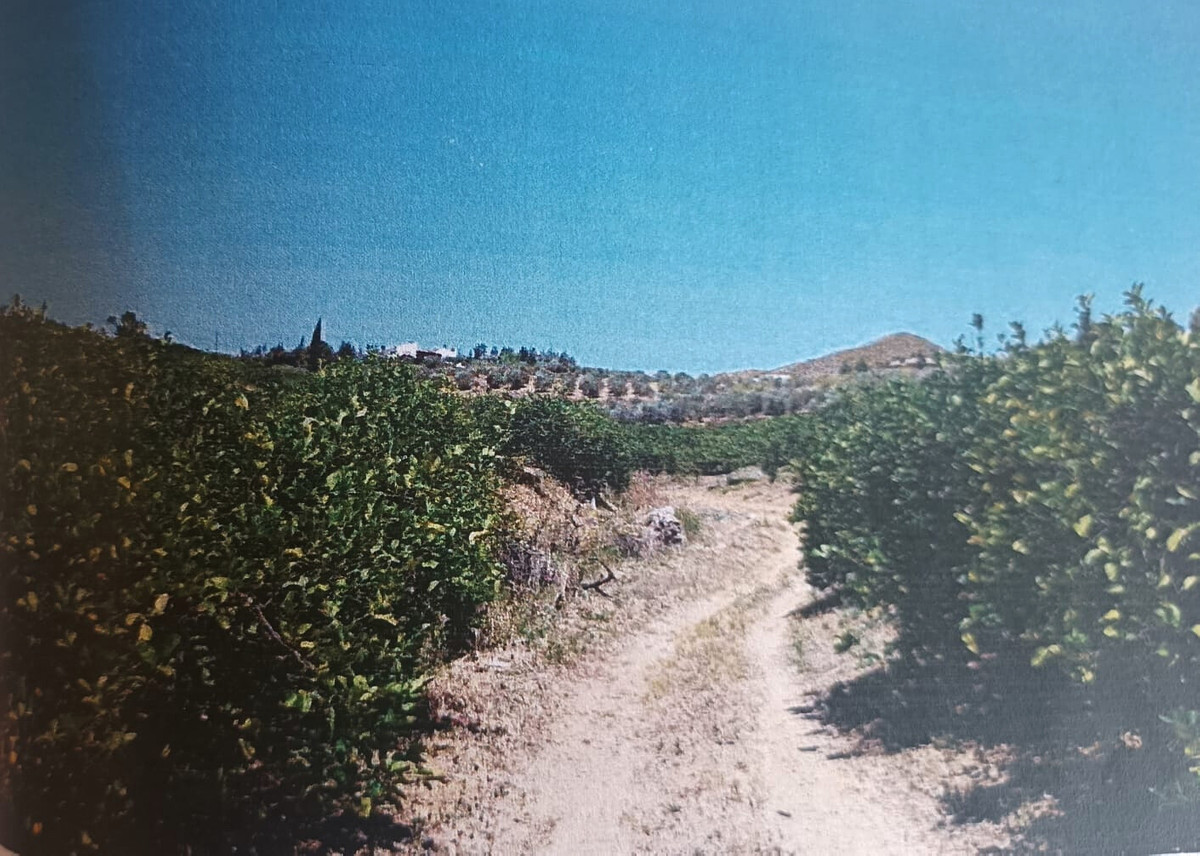 Grond te koop in Alora | 0 slaapkamers H5251627