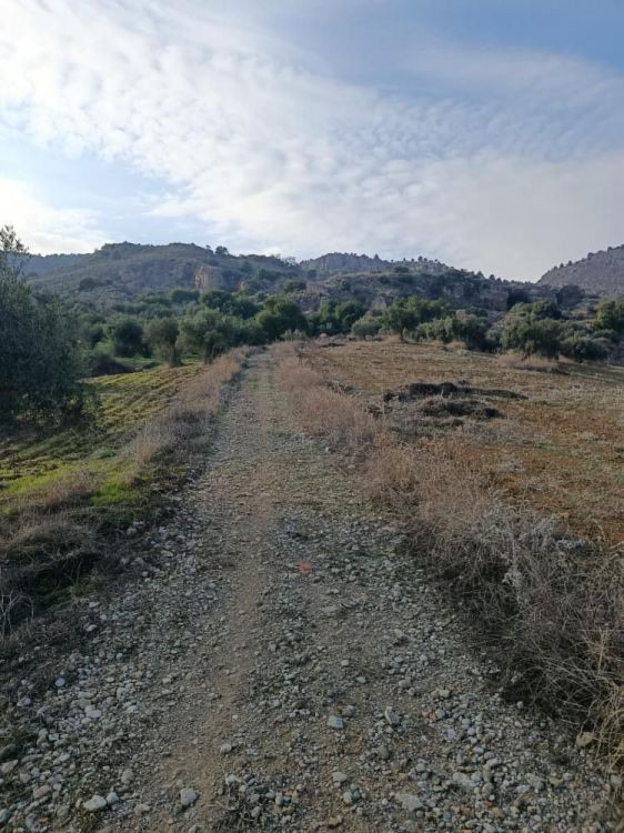 Grond te koop in Alora | 0 slaapkamers H5253760