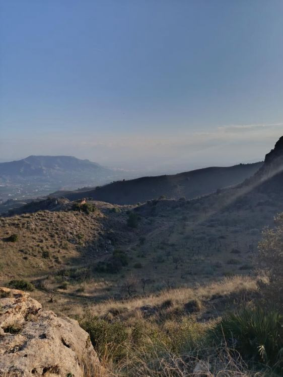 Grond te koop in Alora | 0 slaapkamers H5253760