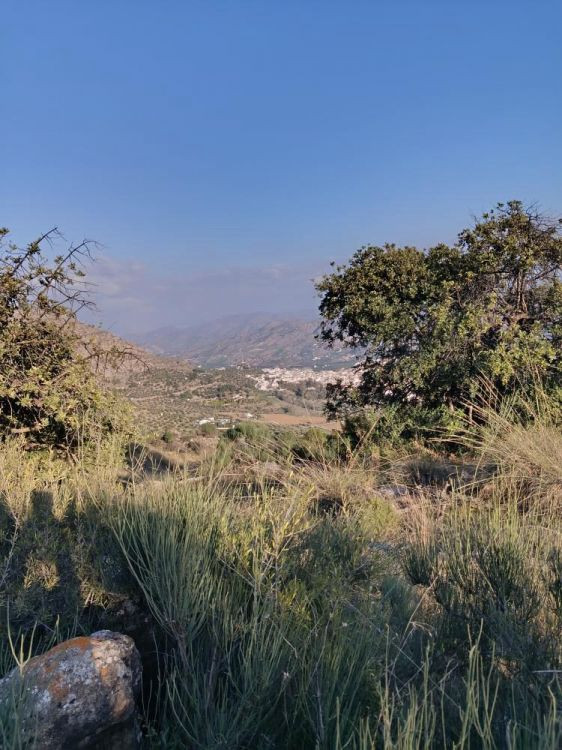 Grond te koop in Alora | 0 slaapkamers H5253760