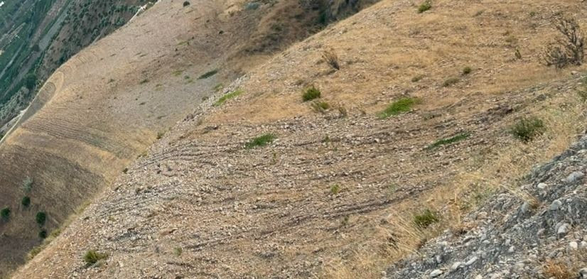 Grond te koop in Alora | 0 slaapkamers H5253763