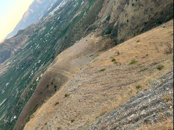 Grond te koop in Alora | 0 slaapkamers H5253763