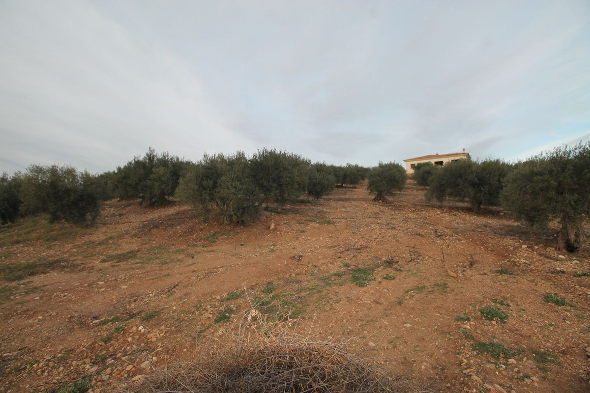 Property main view 20