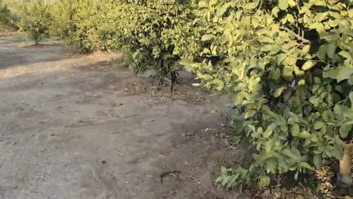 Grond te koop in Alora | 0 slaapkamers H5319355