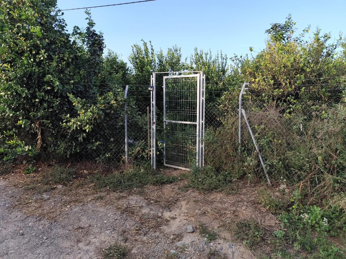 Grond te koop in Alora | 0 slaapkamers H5319355