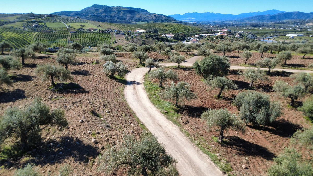 Percelen te koop in Alora | 0 slaapkamers H5353597