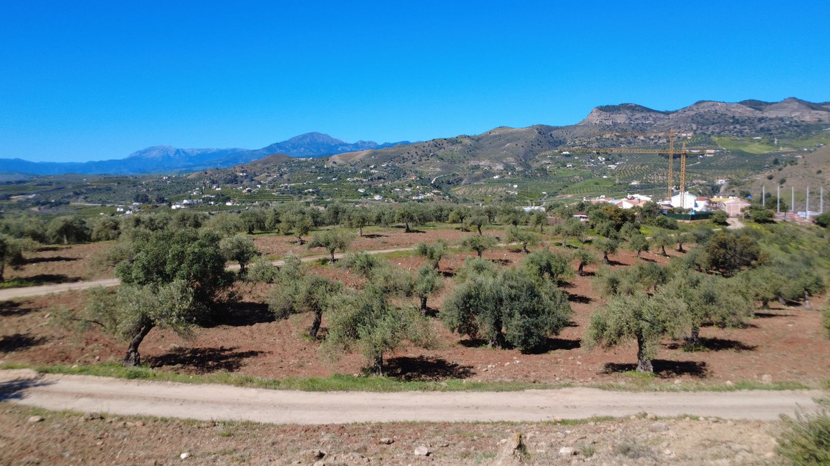 Percelen te koop in Alora | 0 slaapkamers H5353597