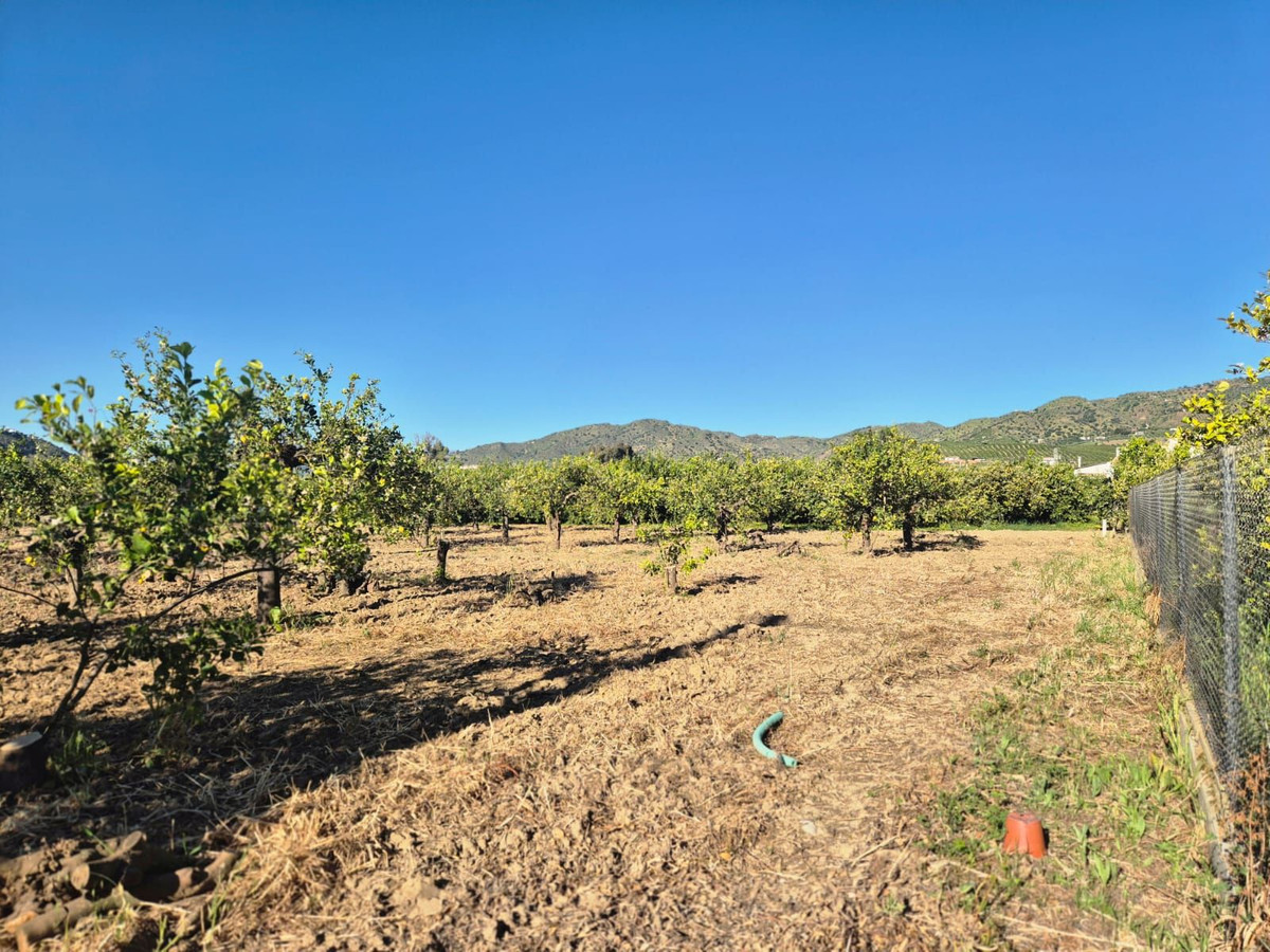 Property main view 3