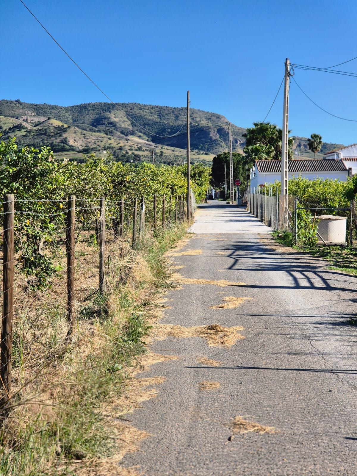 Property main view 4