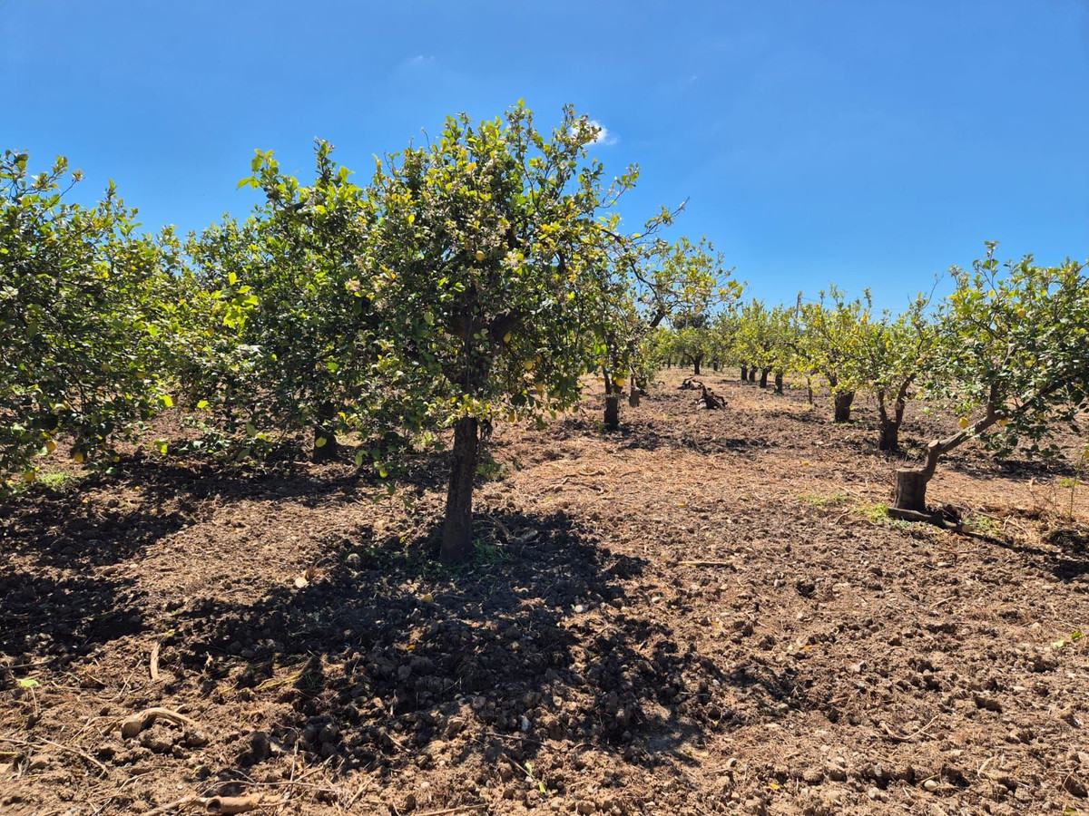 Property main view 6