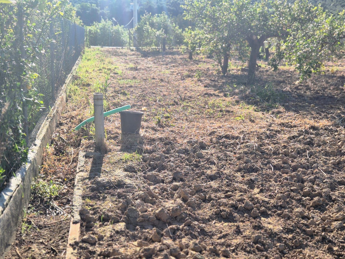 Property main view 7