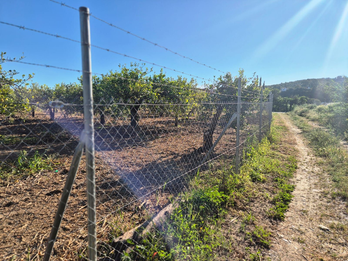 Property main view 8