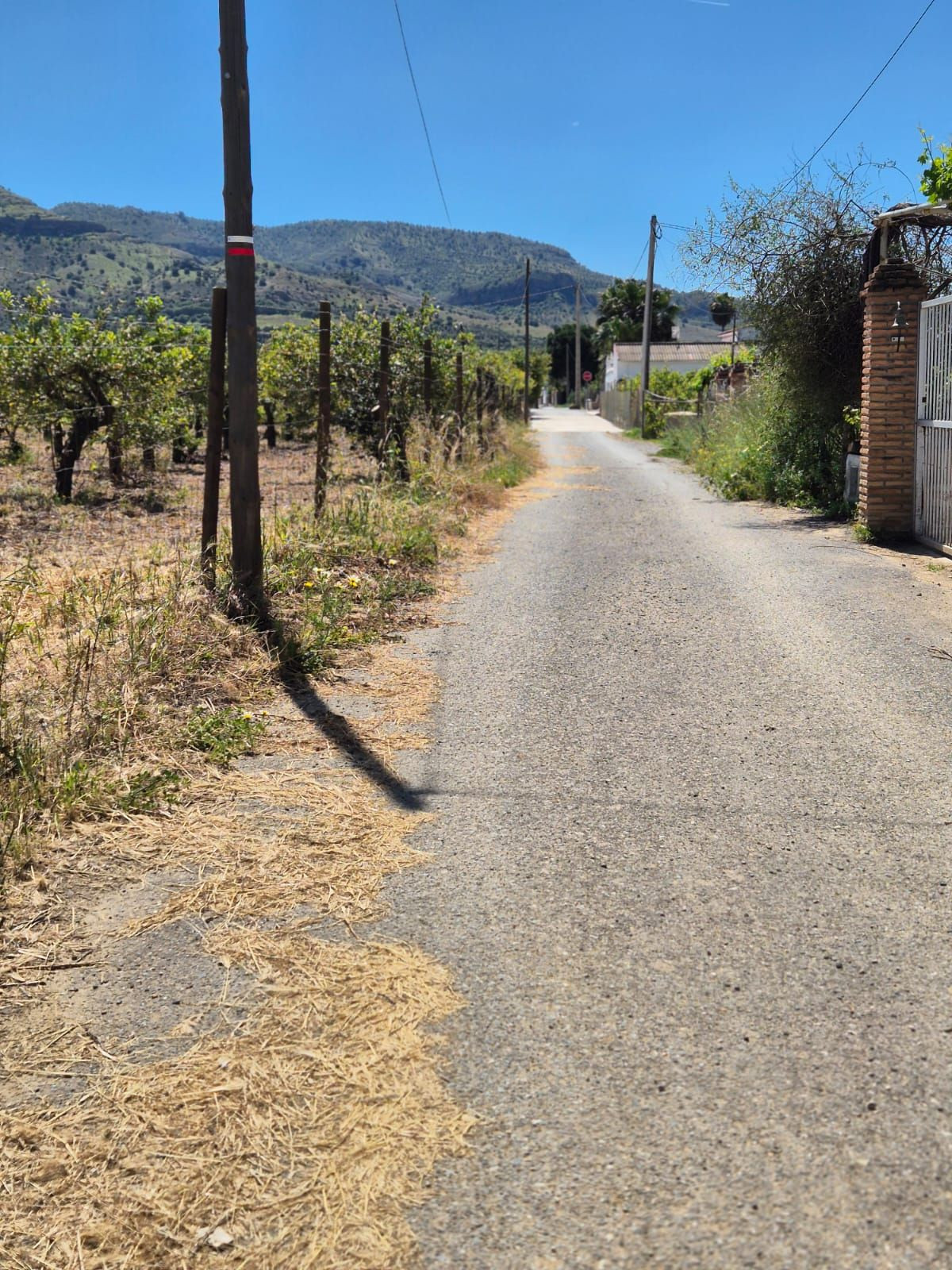 Property main view 9