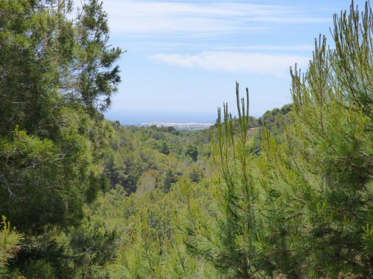 Property main view 15