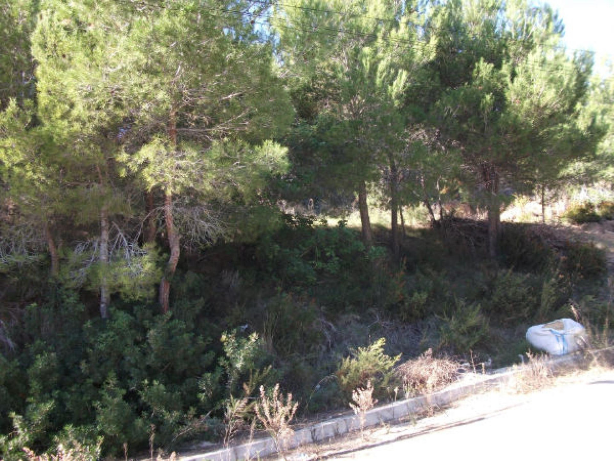 Property main view 5