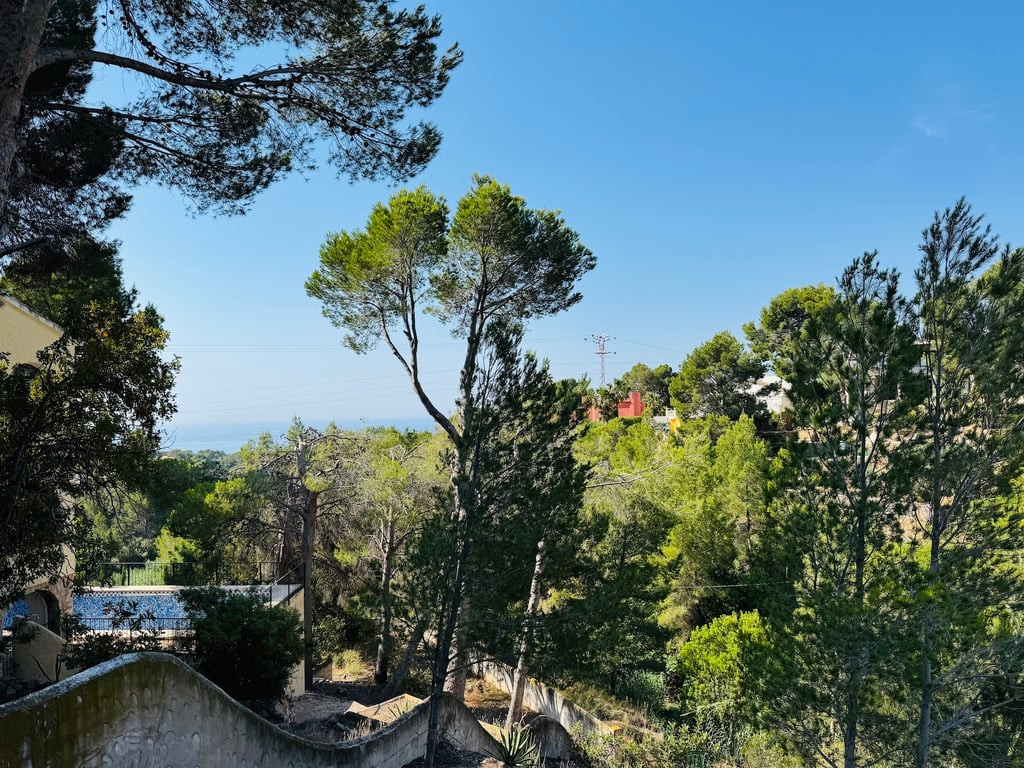 Property main view 1